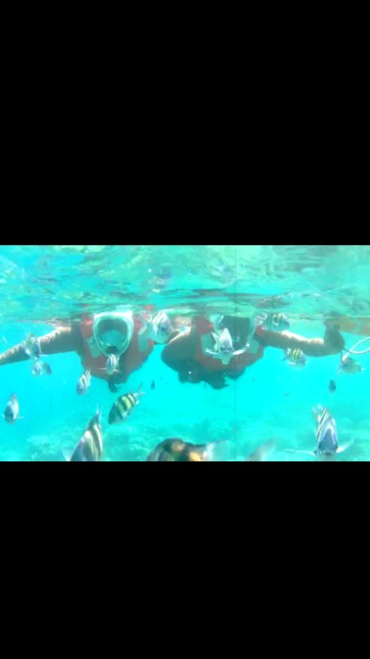 Exploring the mesmerizing underwater world of Havelock's Elephant Beach.