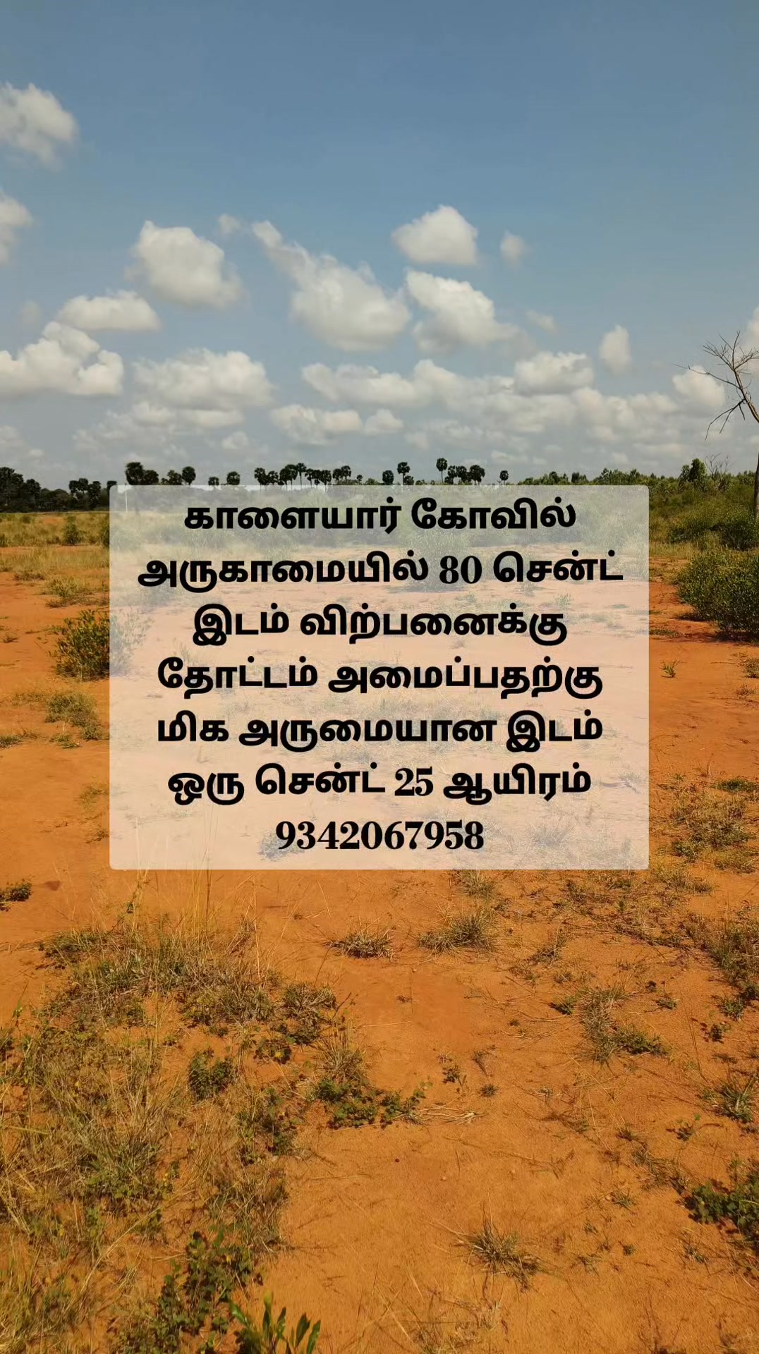 🔥Low 🔅 Budget Farmland 🌾 for Sales in Karaikudi 🔥
